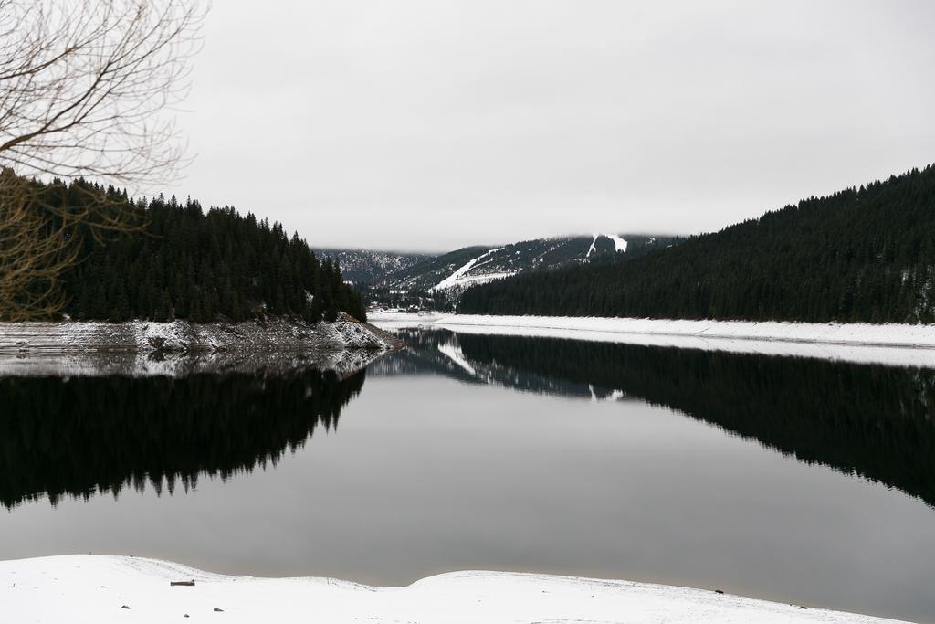Panorama Apuseni Villa Beliş Buitenkant foto