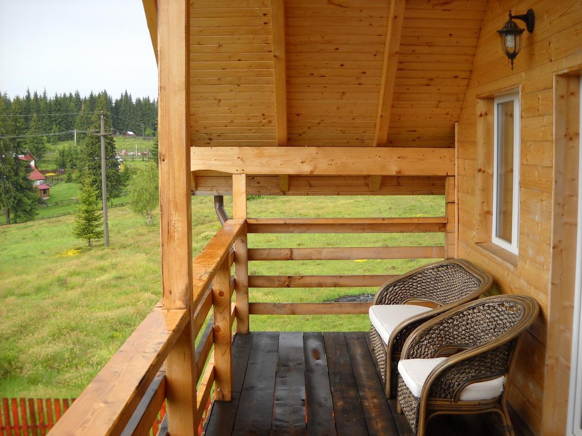 Panorama Apuseni Villa Beliş Buitenkant foto