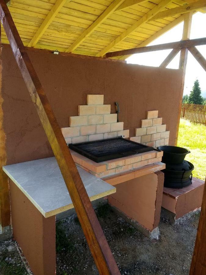 Panorama Apuseni Villa Beliş Buitenkant foto